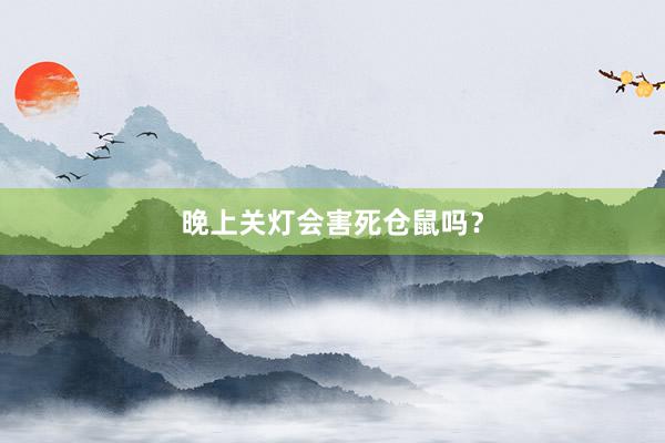晚上关灯会害死仓鼠吗？