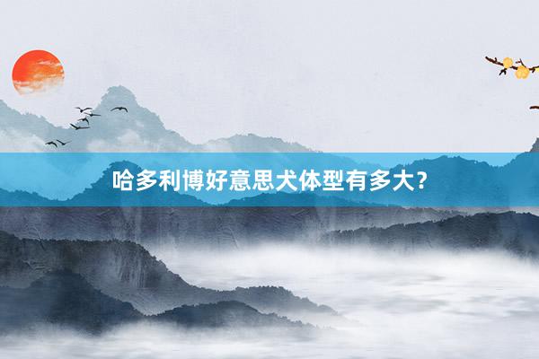哈多利博好意思犬体型有多大?